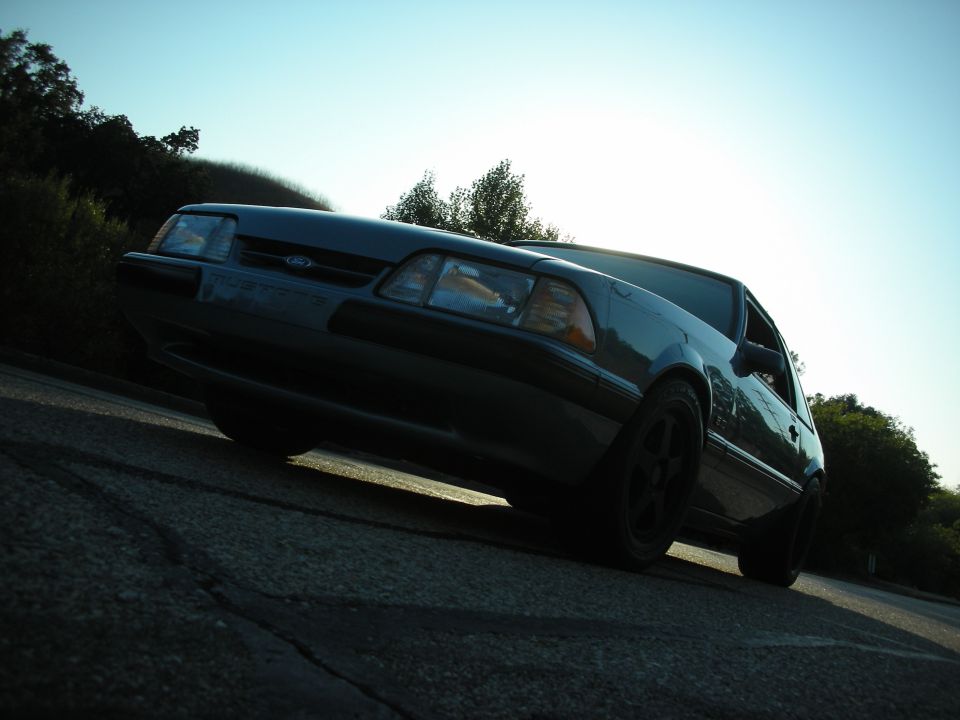 Dark blue Ford Mustang, low angle, front 3/4 view, black wheels, sun glare on windshield