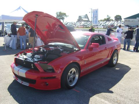 2007 Ford Mustang - A red 2007 Ford Mustang Shelby GT500 is displayed with its hood open, revealing the engine and front racing stripes.