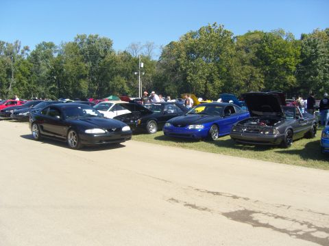 2007 Ford Mustang - Several Ford Mustangs are gathered at an outdoor event.