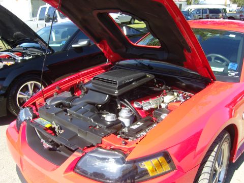 2007 Ford Mustang - Engine bay of a red 2007 Ford Mustang, with a black Mustang in the background.