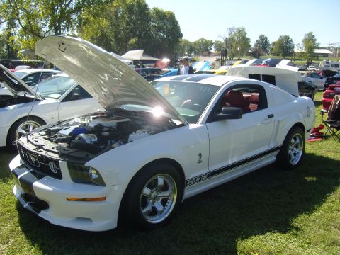 2007 Ford Mustang - White 2007 Ford Mustang Shelby GT500 with hood open at a car show.