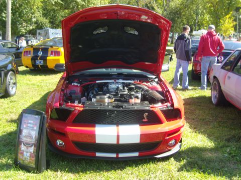 2007 Ford Mustang - A red Ford Mustang with racing stripes is displayed with its hood open, revealing the engine bay.