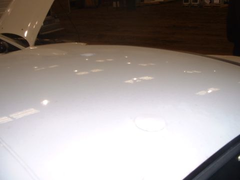 2000 Ford Crown Victoria - Pluged holes from lightbar.