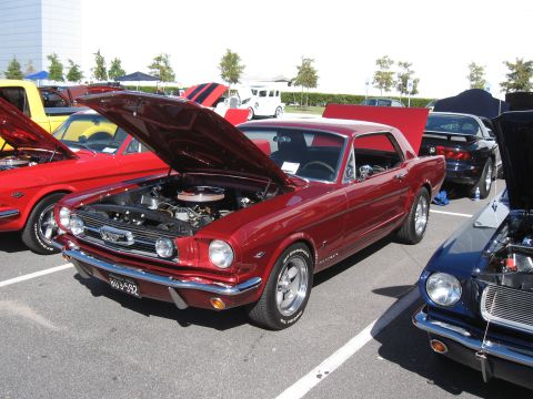 1968 Shelby GT500 - Several classic cars are parked with hoods open at an outdoor event.