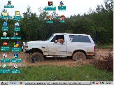 1992 Ford Bronco - A white 1992 Ford Bronco is stuck in a muddy off-road trail with a dog looking out the window.