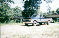 1987 Ford F-150 - A light-colored pickup truck is parked in an outdoor setting with trees and foliage visible.