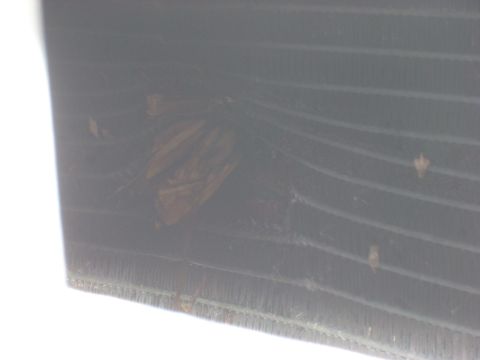 1988 Chevrolet Blazer - The front grille of a vehicle shows horizontal bars and some debris caught within the openings.