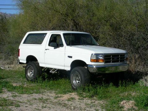 1996 Ford Bronco - A lifted white 1996 Ford Bronco is parked outdoors in front of dense foliage.
