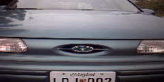 1993 Ford Taurus - Got Bull?