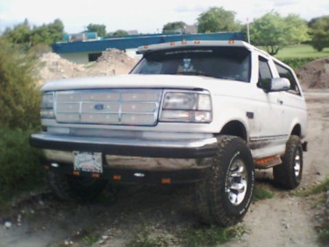 1981 Ford Bronco - Allcruisen