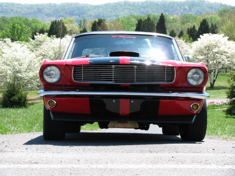1966 Ford Mustang photo