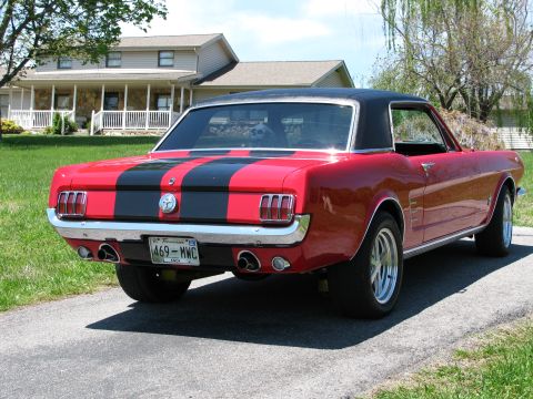 1966 Ford Mustang photo