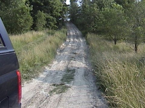 1995 Ford Bronco - Dirt road with tire tracks leading uphill through grassy area and trees.