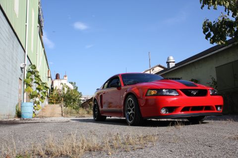 2004 Ford Mustang - This red 2004 Ford Mustang features a distinctive black stripe on its hood and is captured in a three-quarter front view.