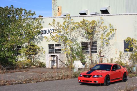 2004 Ford Mustang photo