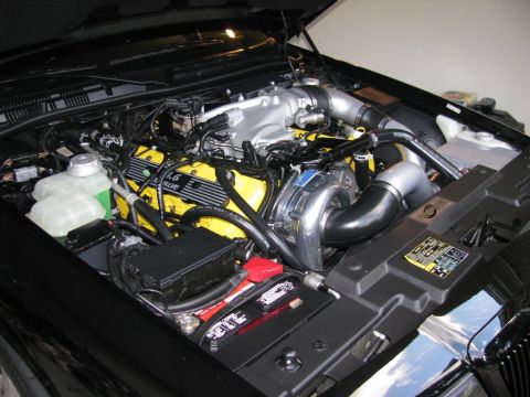 2003 Mercury Marauder - Detailing in preparation for MV7.