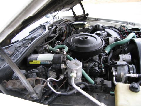 1991 Ford LTD Crown Victoria - Engine bay details showing various components and hoses.