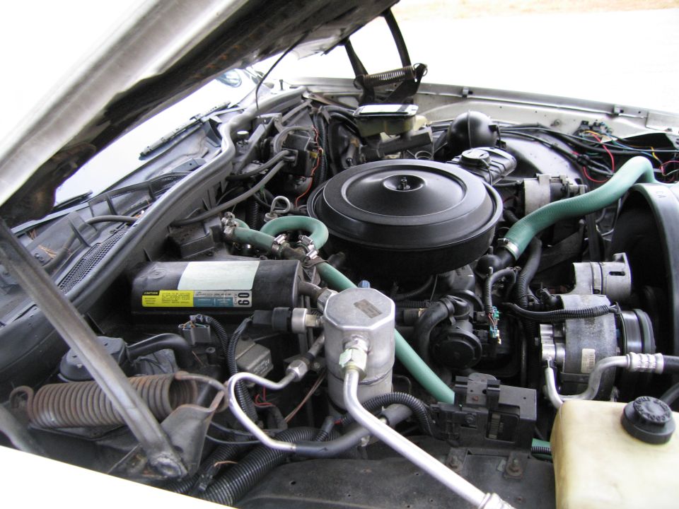 Engine bay with black air cleaner and green hoses