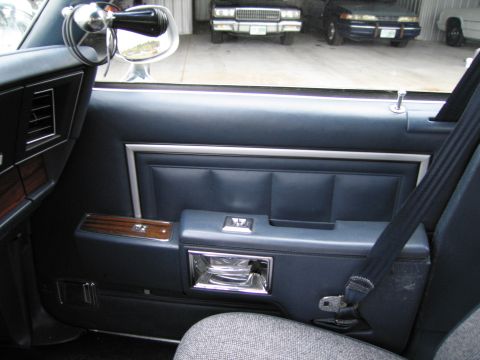 1991 Ford LTD Crown Victoria - Interior view of a car door panel, with other vehicles seen in the background.