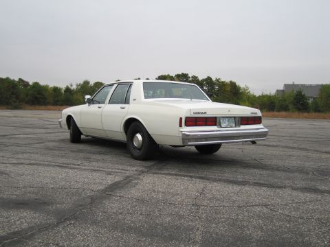 1991 Ford LTD Crown Victoria - This white sedan is viewed from the rear, showing its classic body style and a license plate.