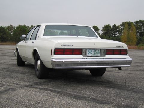 1991 Ford LTD Crown Victoria - This white Chevrolet Caprice sedan is shown from the rear, parked on a paved surface with trees in the background.
