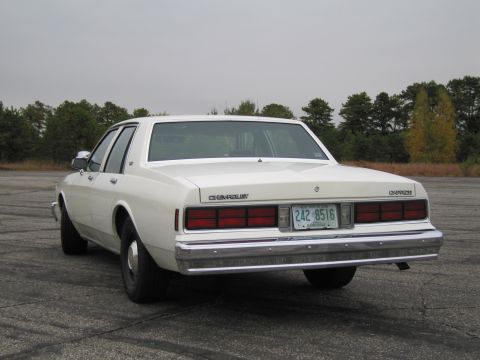 1991 Ford LTD Crown Victoria - Rear view of a white Chevrolet Caprice sedan parked on asphalt with trees in the distance.