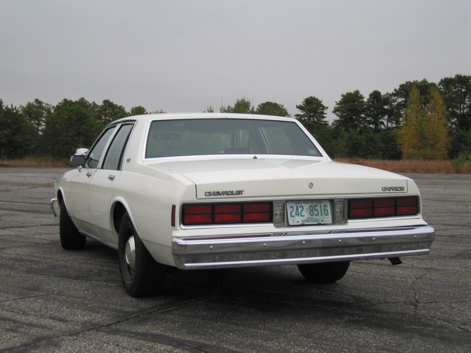 White Chevrolet Caprice sedan from rear, license plate 242 8516, chrome bumper, trees in background