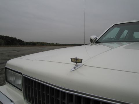 1991 Ford LTD Crown Victoria - The front of a white sedan is shown with a prominent hood ornament and grille, against an overcast sky.