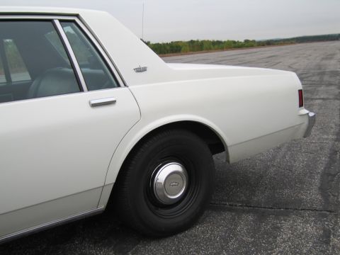 1991 Ford LTD Crown Victoria - The rear side of a white sedan is shown parked on an asphalt surface with trees in the background.