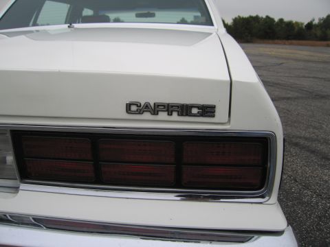 1991 Ford LTD Crown Victoria - The rear of a white sedan displays a 'CAPRICE' badge above its horizontal taillights.