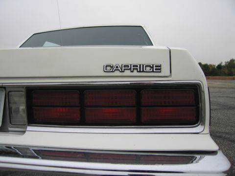 1991 Ford LTD Crown Victoria - Rear view of a white Caprice sedan, showing its distinctive horizontal taillights and chrome bumper.