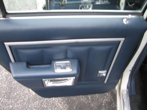 1991 Ford LTD Crown Victoria - Interior view of a car's blue door panel with chrome accents and a pull handle.