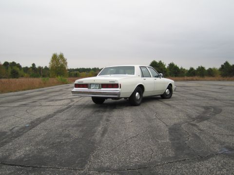 1991 Ford LTD Crown Victoria - Rear view of a white sedan parked on an empty lot under an overcast sky.