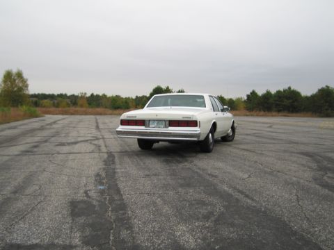 1991 Ford LTD Crown Victoria - A white Chevrolet Caprice sedan is viewed from the rear on an overcast day.
