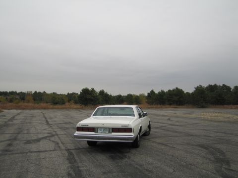 1991 Ford LTD Crown Victoria - Rear view of a white sedan with license plate 742 8516 parked in an empty lot.