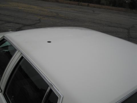 1991 Ford LTD Crown Victoria - The white roof of a sedan is shown from a high angle, with a dark road and some trees in the background.