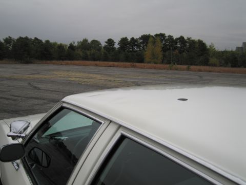 1991 Ford LTD Crown Victoria - A white sedan is parked in an empty lot with trees in the background under an overcast sky.