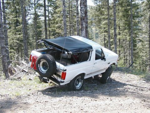 1995 Ford Bronco - Just a little poser flex action. More to come in another section.