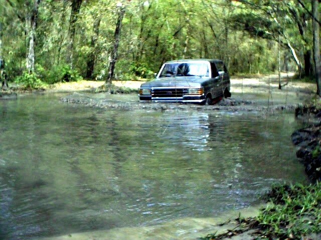 Some freshwater in Ocala.
