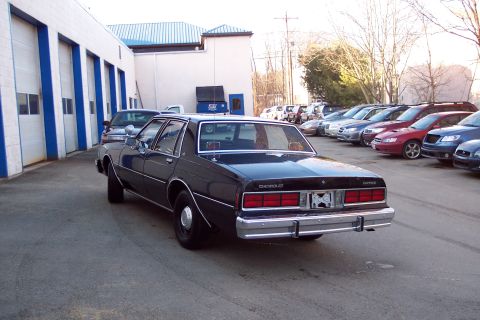2001 Ford Crown Victoria - A black Chevrolet Caprice sedan is parked in a lot with other vehicles, viewed from the rear.