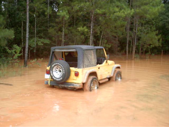 Yellow Jeep Wrangler with black soft top parked in muddy orange floodwater at a wooded trail