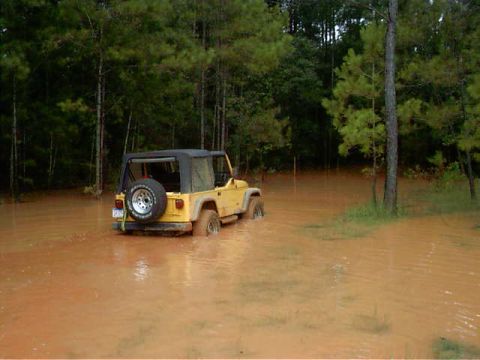 1985 Ford Bronco - A yellow Jeep Wrangler navigates through a flooded area surrounded by trees.