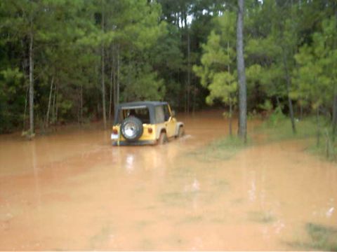 1985 Ford Bronco - A yellow Jeep Wrangler navigates through a flooded area surrounded by trees.