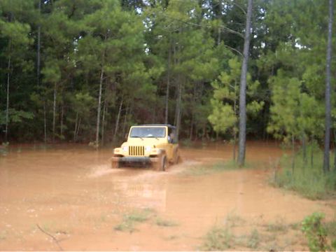 1985 Ford Bronco - A yellow Jeep Wrangler navigates through a flooded area surrounded by trees.