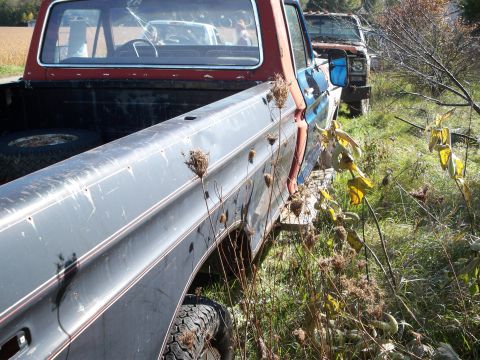 1988 Ford F-150 - Two older Ford pickup trucks are parked side-by-side in a field with dry weeds.