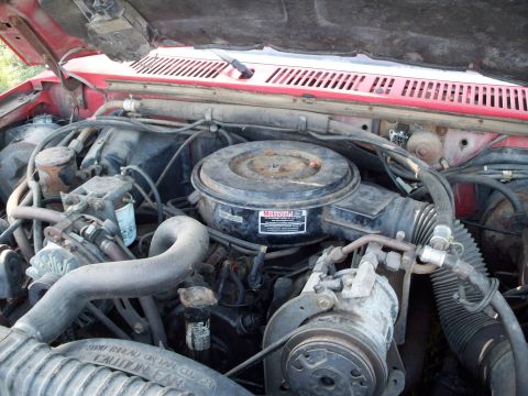 1988 Ford F-150 - The engine bay of a 1988 Ford F-150, with various hoses and engine parts visible.