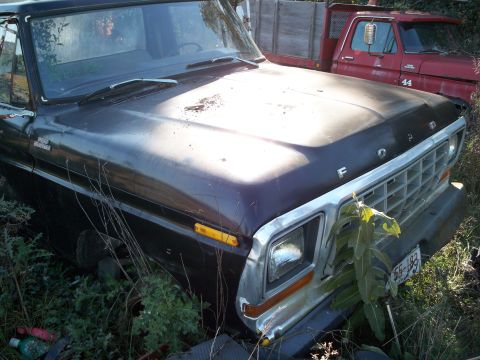 1988 Ford F-150 - A dark colored Ford truck sits in a yard next to a red truck. The front end shows a chrome grille and headlights.