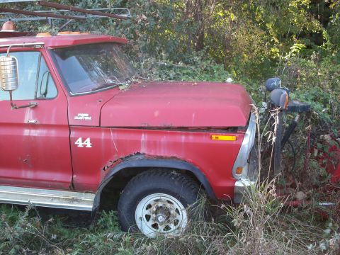 1988 Ford F-150 - A red truck with visible rust and the number 44 on the door sits in overgrown brush.