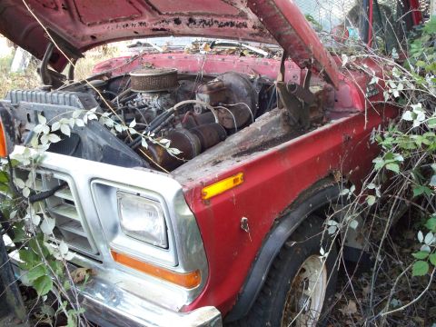 1988 Ford F-150 - Abandoned 1979 Ford F-150 shows its engine and front grille, covered in vegetation.