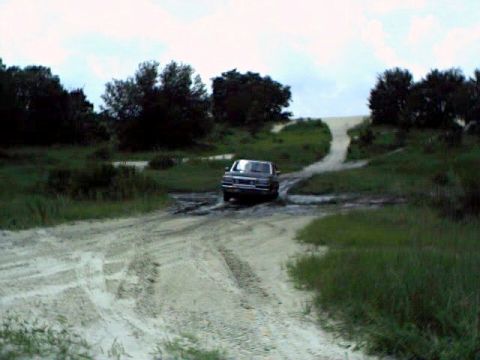1991 Ford Bronco - Bronco died in mud. Overheated